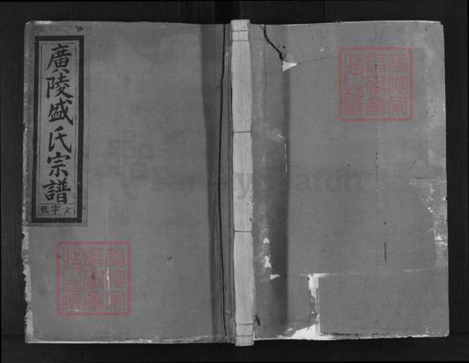 浙江省金华市婺城区盛氏敦本堂族谱-东盛东坂盛氏宗谱.pdf电子版缩略图