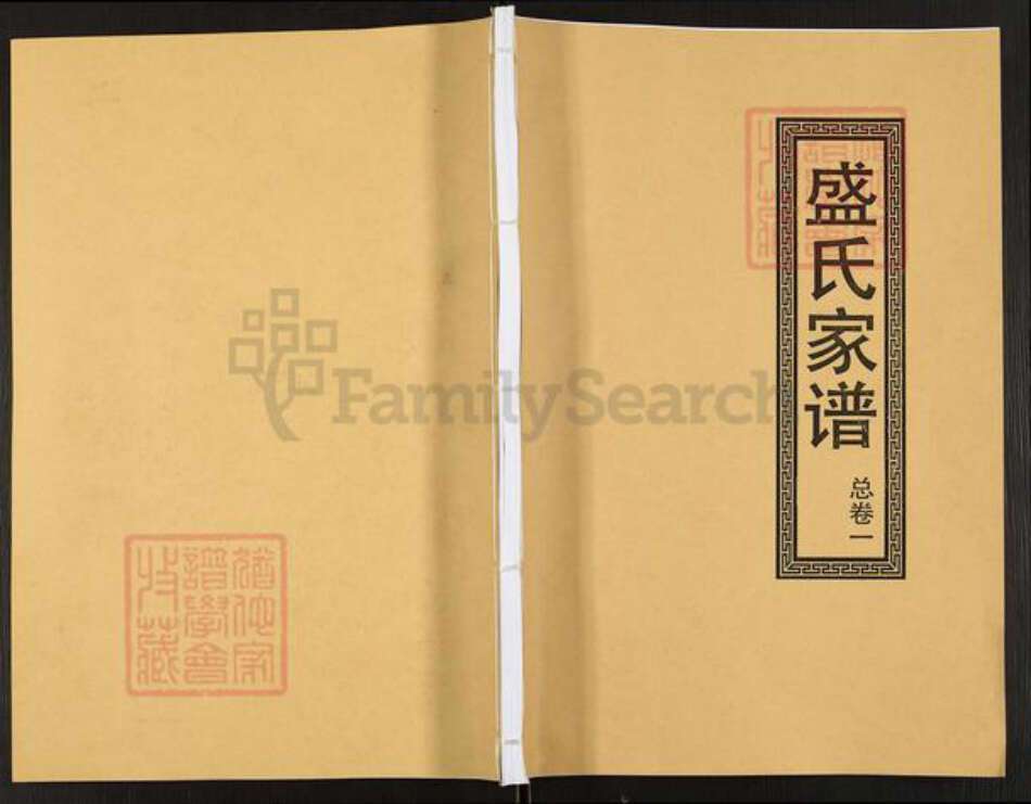 江西省九江市武宁县盛氏广陵堂族谱-盛氏家谱.pdf电子版缩略图