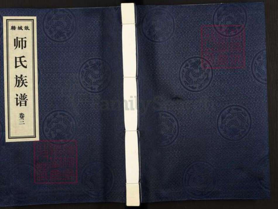 河北省衡水市故城县三朗镇师氏族谱-师氏族谱.pdf电子版