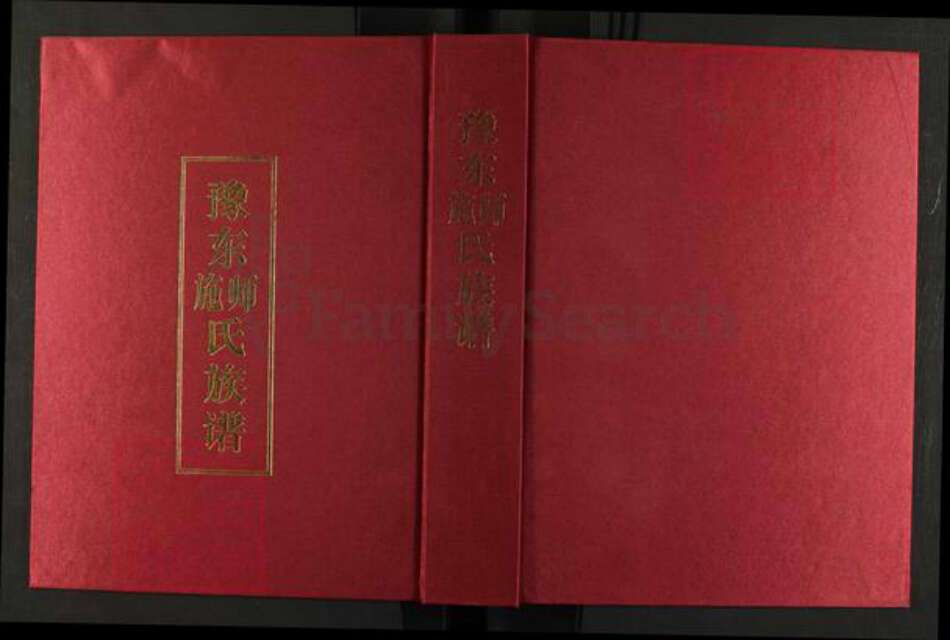 河南省周口市太康县施氏授琴堂族谱-豫东师施氏族谱.pdf电子版缩略图