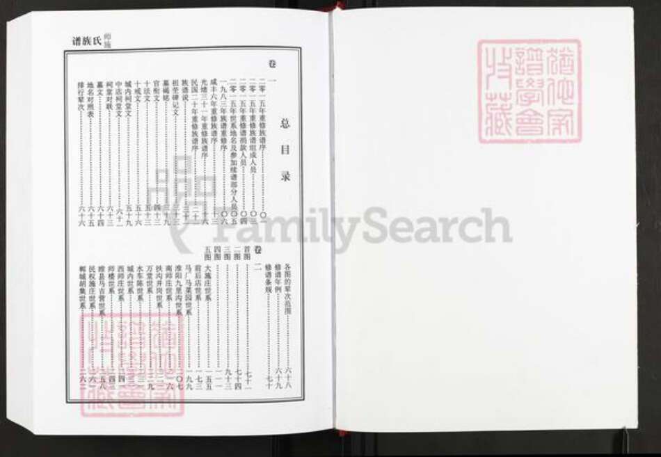 河南省周口市太康县施氏授琴堂族谱-豫东师施氏族谱.pdf电子版预览图1