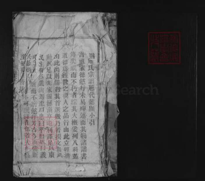 江西省九江市湖口县施氏族谱-施氏宗谱.pdf电子版预览图1