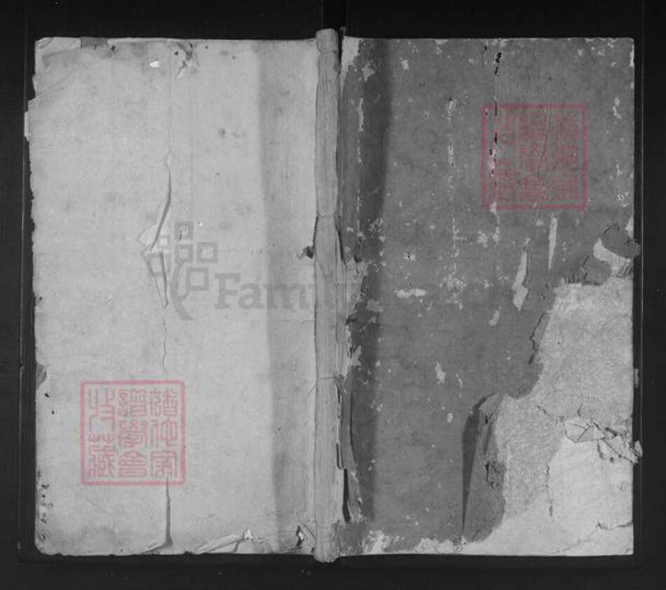 湖南省常德市桃源县施氏作霖堂族谱-施氏宗谱.pdf电子版缩略图