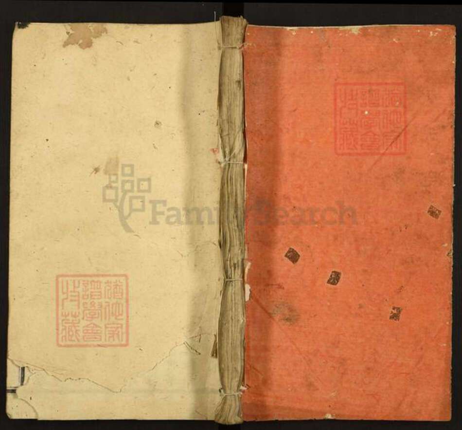 福建省三明市宁化县施氏族谱-施氏三修族谱.pdf电子版缩略图