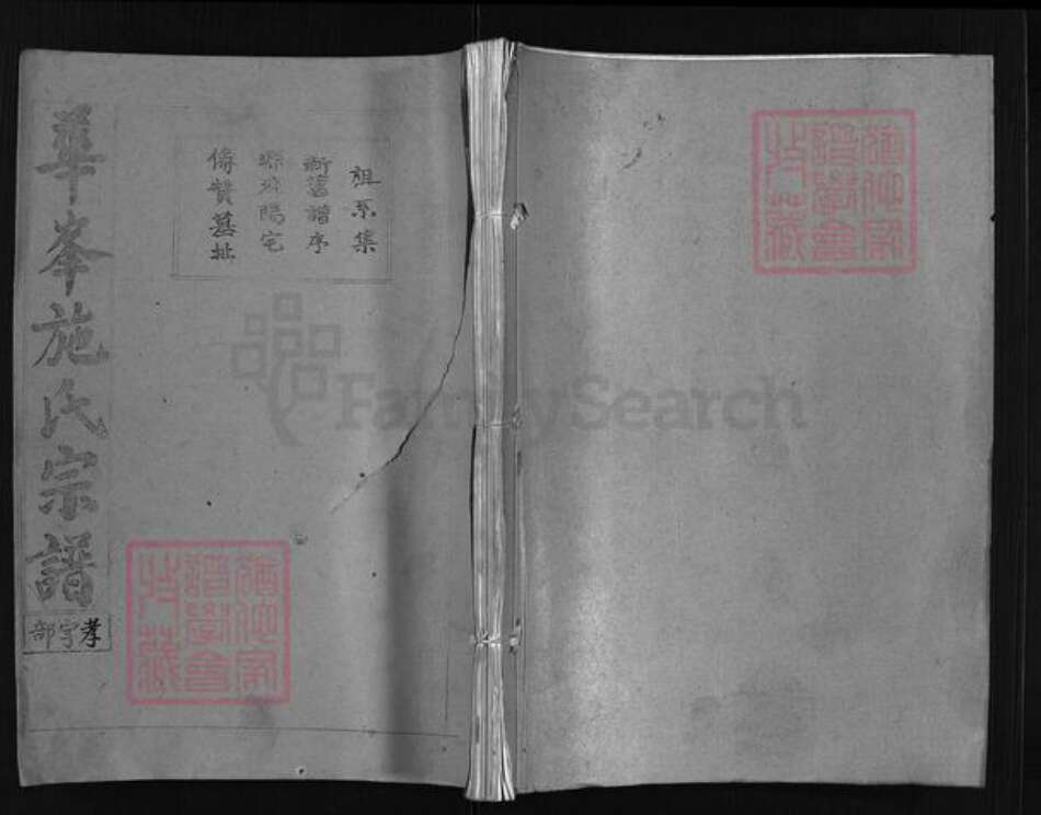 浙江省金华市金华施氏族谱-华峰施氏宗谱 [4卷].pdf电子版缩略图