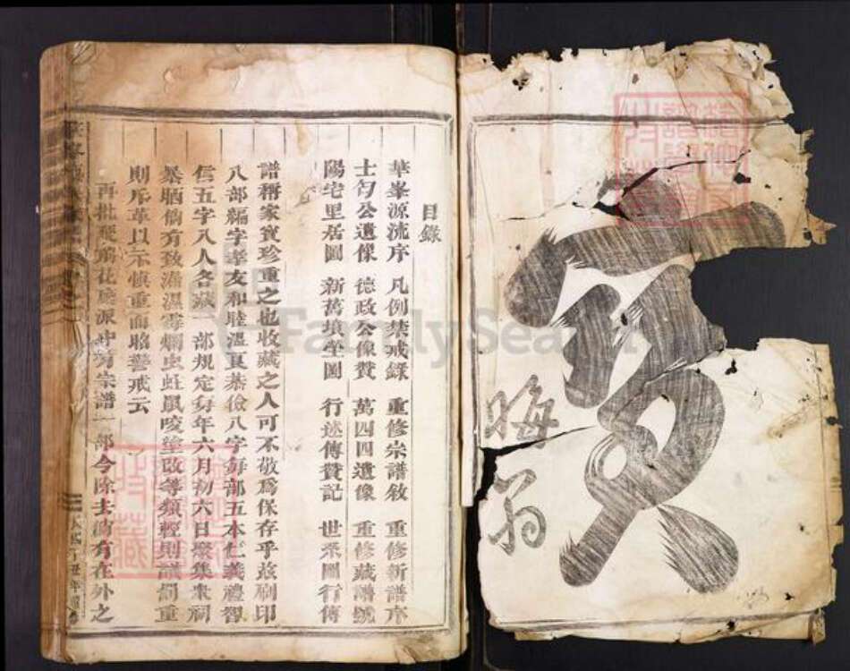 浙江省金华市施氏族谱-华峰施氏宗谱.pdf电子版预览图2