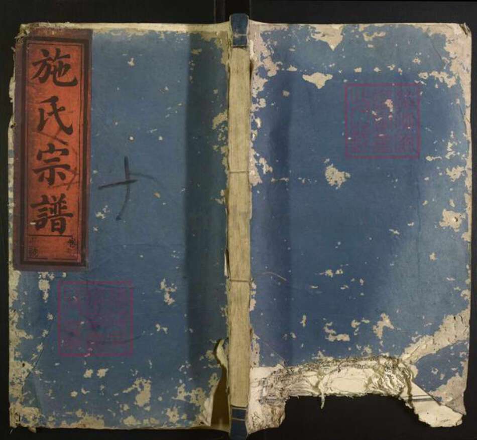 浙江省施氏族谱-施氏宗谱.pdf电子版缩略图