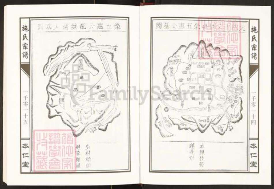 安徽省滁州市天长市施氏族谱-施氏宗谱.二修天长.本仁堂.pdf电子版预览图2