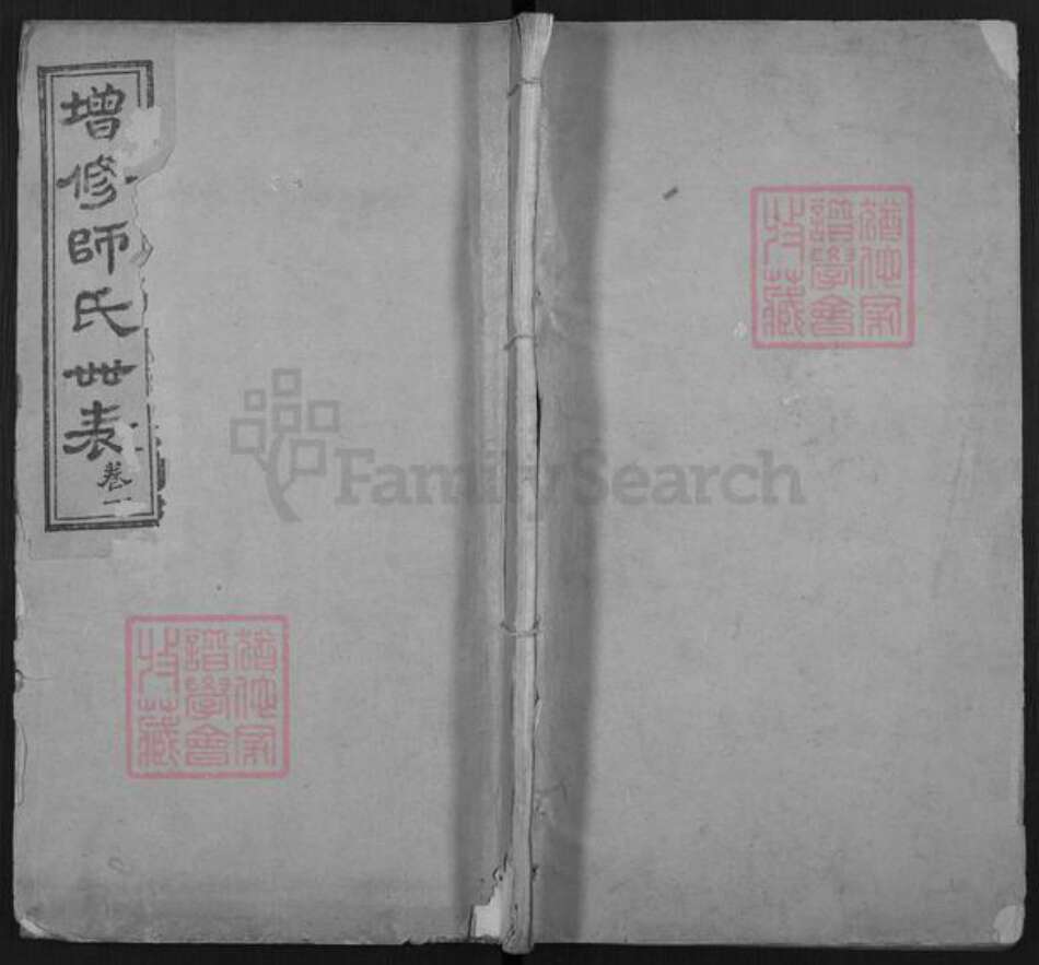 山东省聊城市东阿县师氏族谱-増修师氏世表.pdf电子版