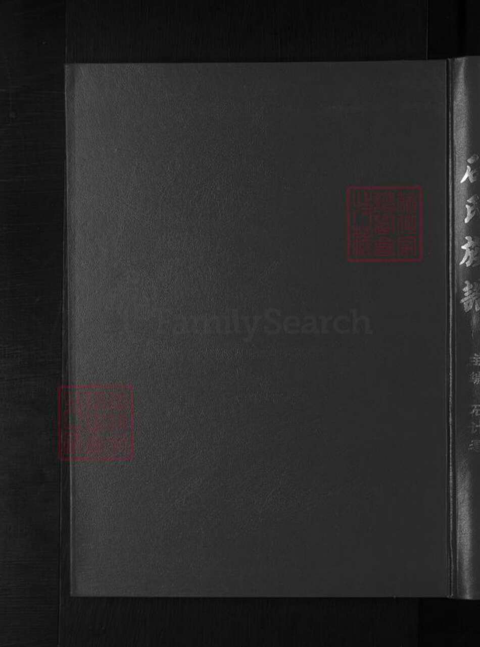 山西省忻州市石氏族谱-石氏族谱 [不分卷].pdf电子版缩略图