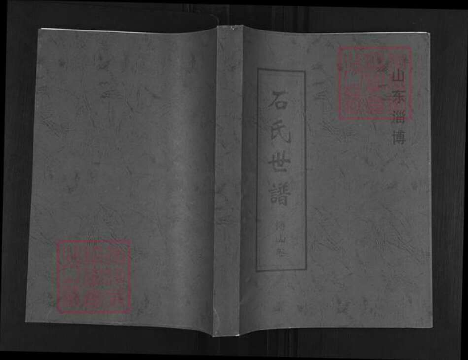 山东省淄博市博山区石氏族谱-石氏世谱.博山卷.pdf电子版缩略图