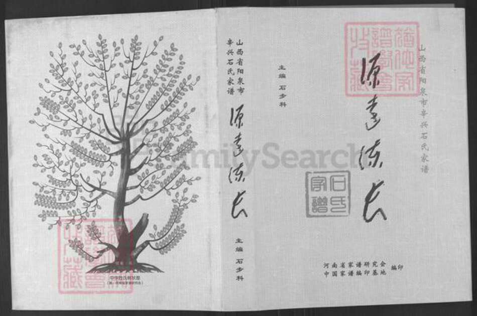 山西省阳泉市郊区平坦镇石氏族谱-石氏家谱.pdf电子版缩略图