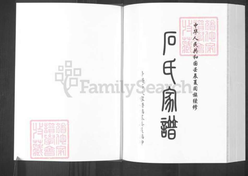 山西省阳泉市郊区平坦镇石氏族谱-石氏家谱.pdf电子版预览图1