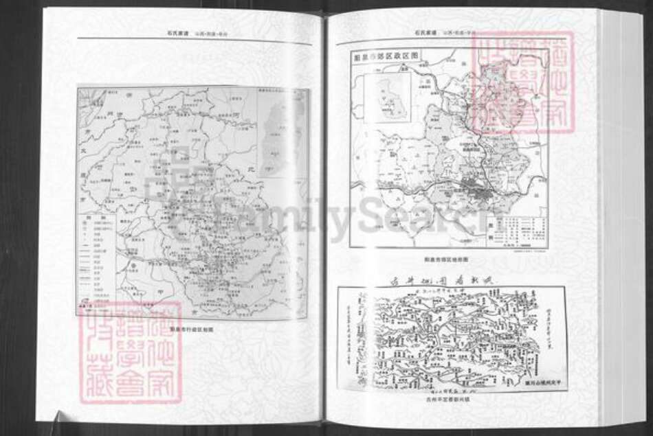 山西省阳泉市郊区平坦镇石氏族谱-石氏家谱.pdf电子版预览图4