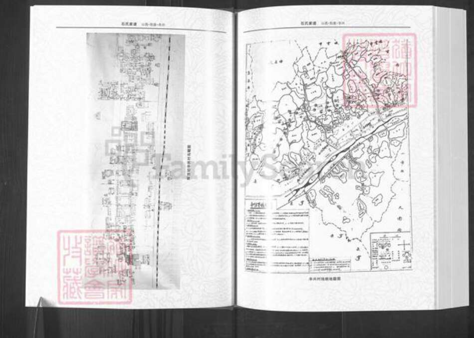 山西省阳泉市郊区平坦镇石氏族谱-石氏家谱.pdf电子版预览图5