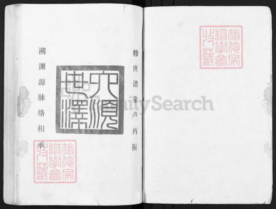 江苏省宿迁市泗阳县石氏六顺堂族谱-石氏宗谱.pdf电子版预览图1