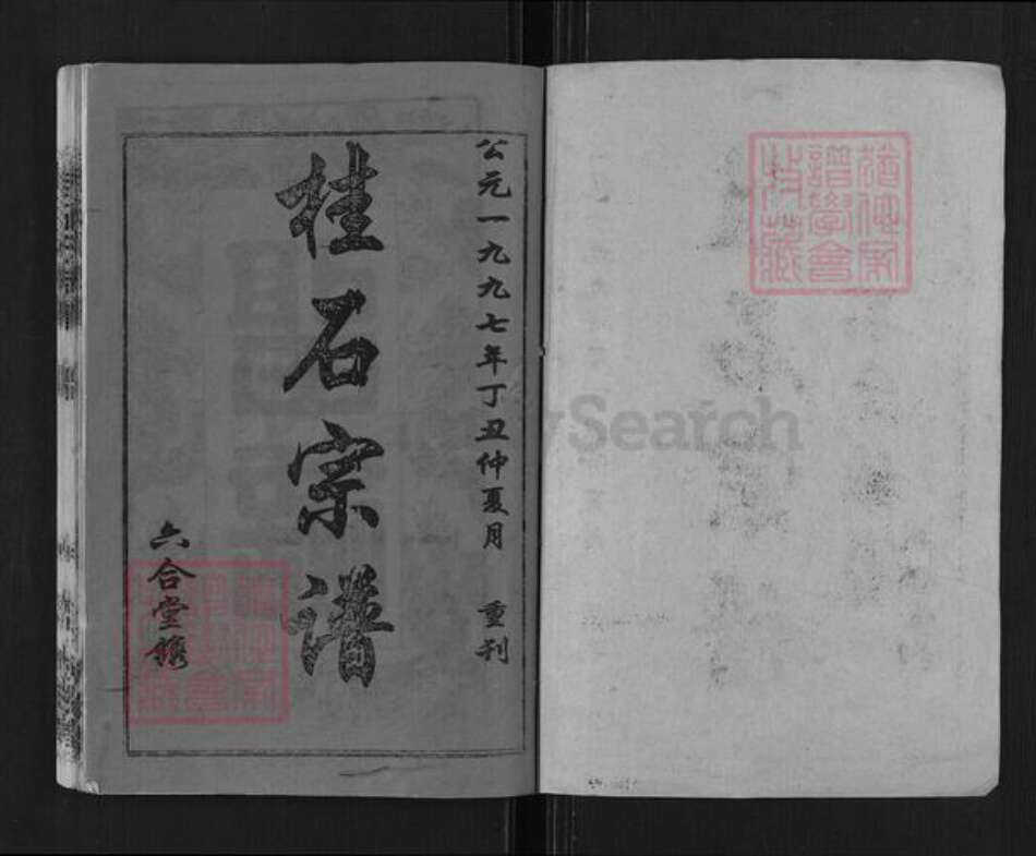 湖北省黄冈市浠水县巴河镇石氏树滋堂族谱-桂石氏族谱.pdf电子版预览图1