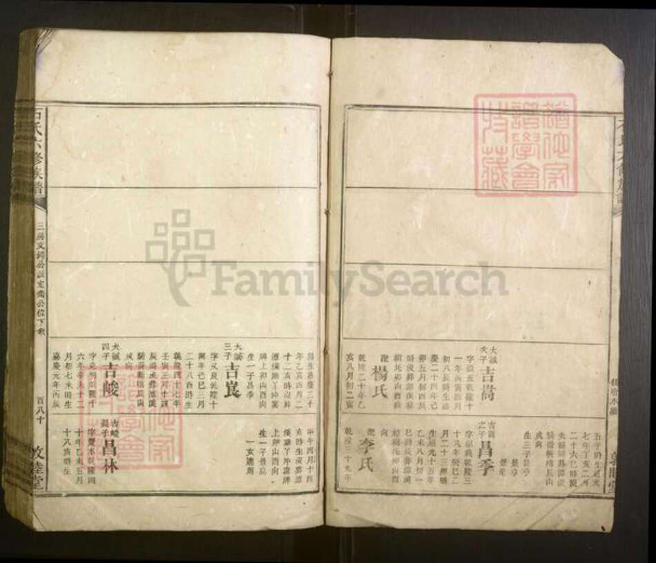 湖南省湘西土家族苗族自治州泸溪县石氏族谱-石氏六修族谱[不分卷].pdf电子版预览图3