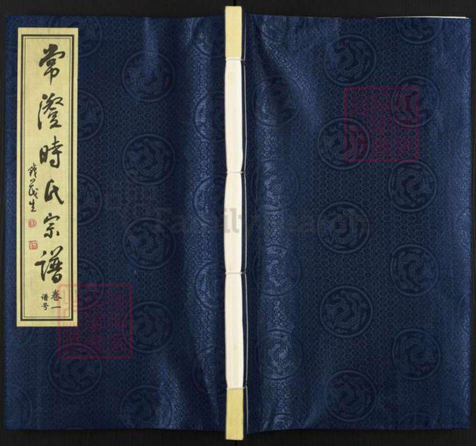 江苏省常州市武进县时氏培德堂族谱-常澄时氏宗谱.pdf电子版缩略图