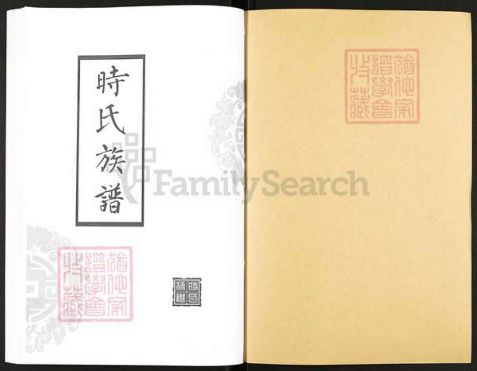 山东省滨州市沾化区大高镇时氏族谱-时氏族谱.pdf电子版预览图1