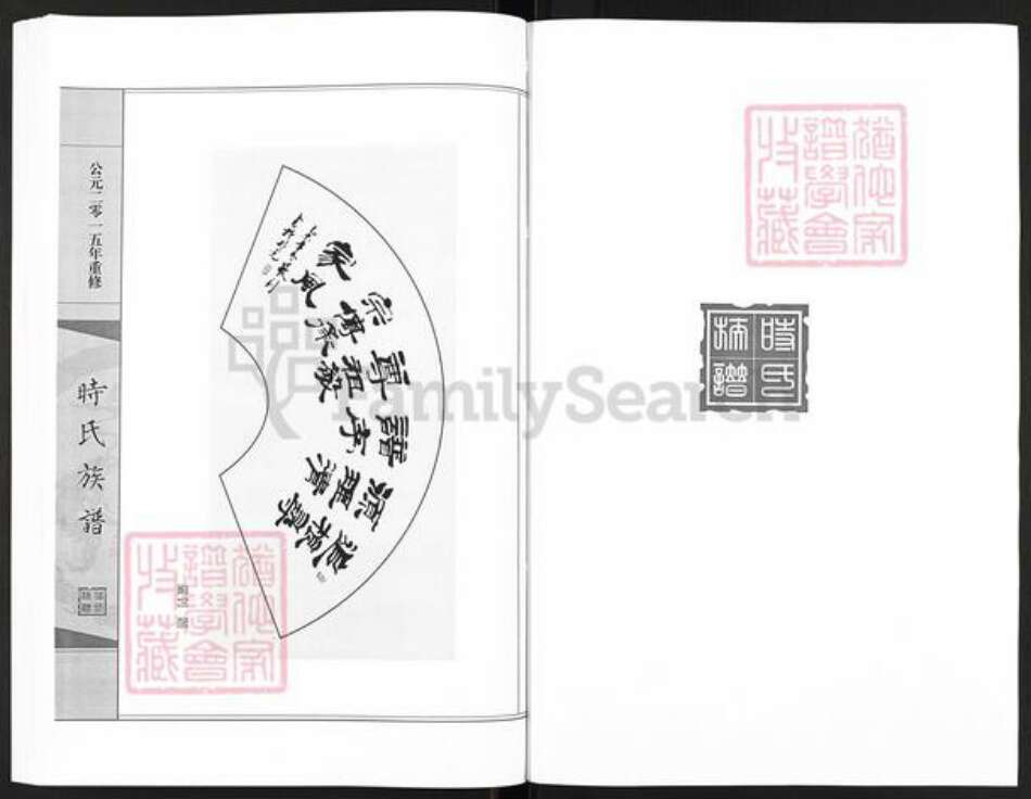 山东省滨州市沾化区大高镇时氏族谱-时氏族谱.pdf电子版预览图2