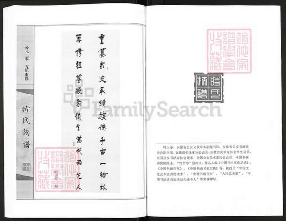 山东省滨州市沾化区大高镇时氏族谱-时氏族谱.pdf电子版预览图4
