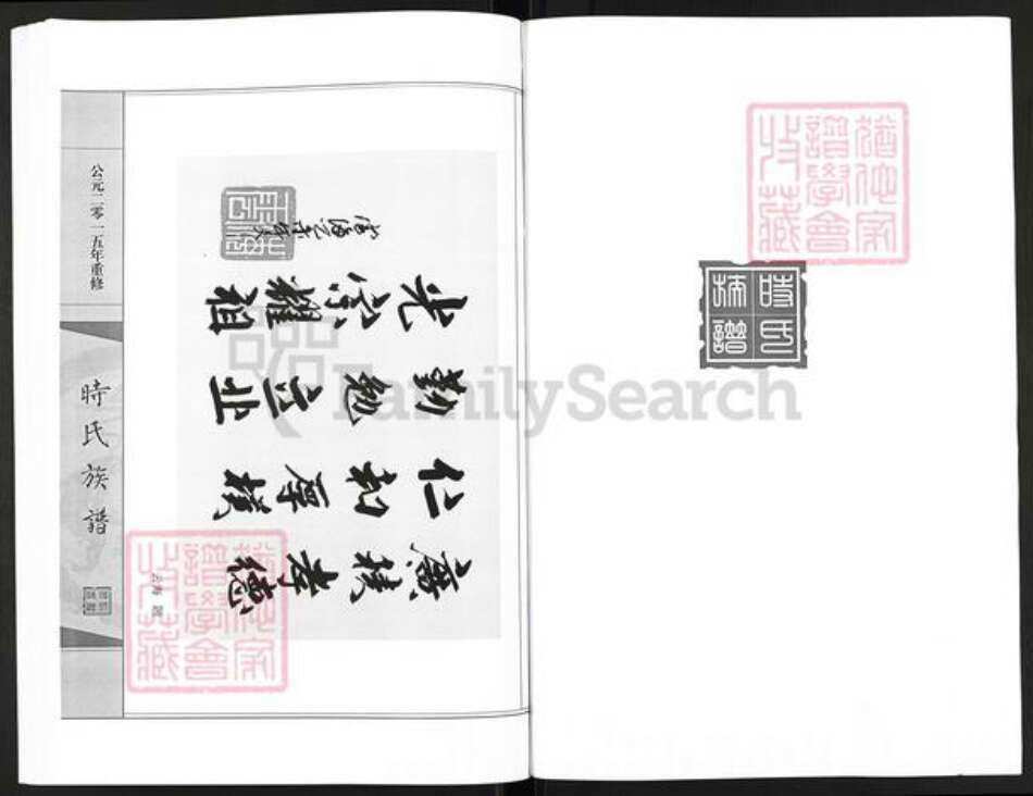 山东省滨州市沾化区大高镇时氏族谱-时氏族谱.pdf电子版预览图5