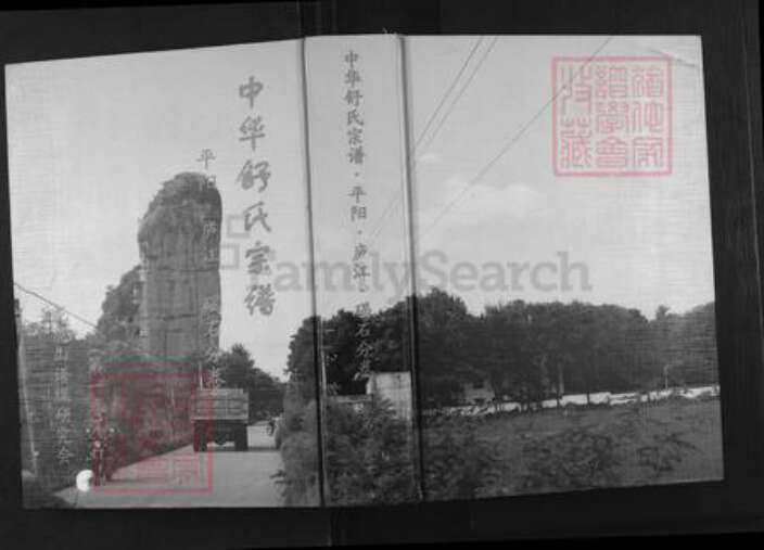 江西省鹰潭市贵溪市舒氏族谱-中华舒氏宗谱.平阳.庐江.碣石分卷.pdf电子版缩略图