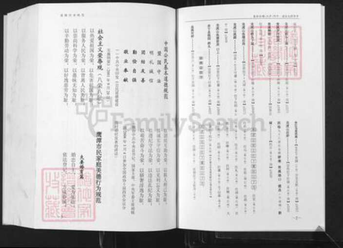 江西省鹰潭市贵溪市舒氏族谱-中华舒氏宗谱.平阳.庐江.碣石分卷.pdf电子版预览图3