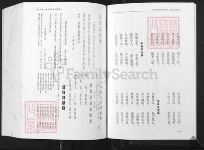 江西省鹰潭市贵溪市舒氏族谱-中华舒氏宗谱.平阳.庐江.碣石分卷.pdf电子版预览图4