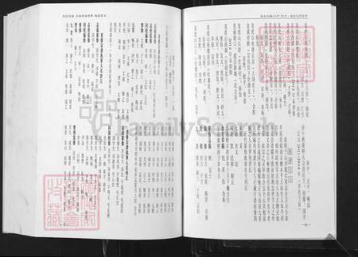 江西省鹰潭市贵溪市舒氏族谱-中华舒氏宗谱.平阳.庐江.碣石分卷.pdf电子版预览图5