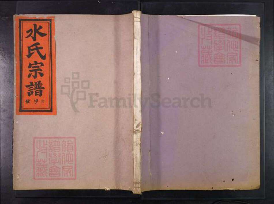 浙江省湖州吴兴区水氏敦彜堂族谱-吴兴水氏宗谱.pdf电子版