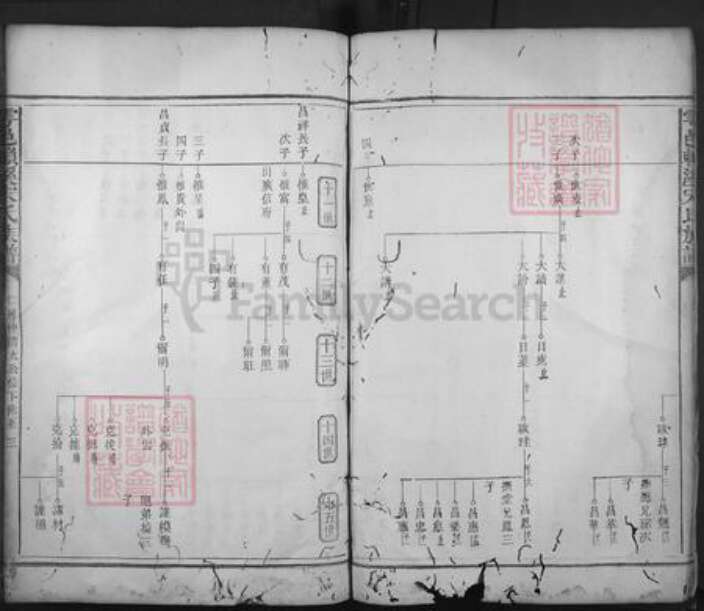 江西省赣州市宁都县赖村镇宋氏族谱-雩邑赖溪宋氏族谱.pdf电子版预览图4