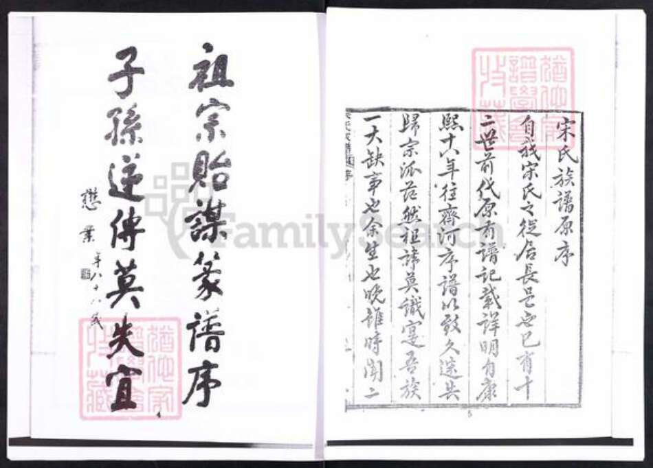 山东省滨州市邹平市魏桥镇宋氏务义堂族谱-山东邹平常山沟盈宋氏家谱.pdf电子版预览图5