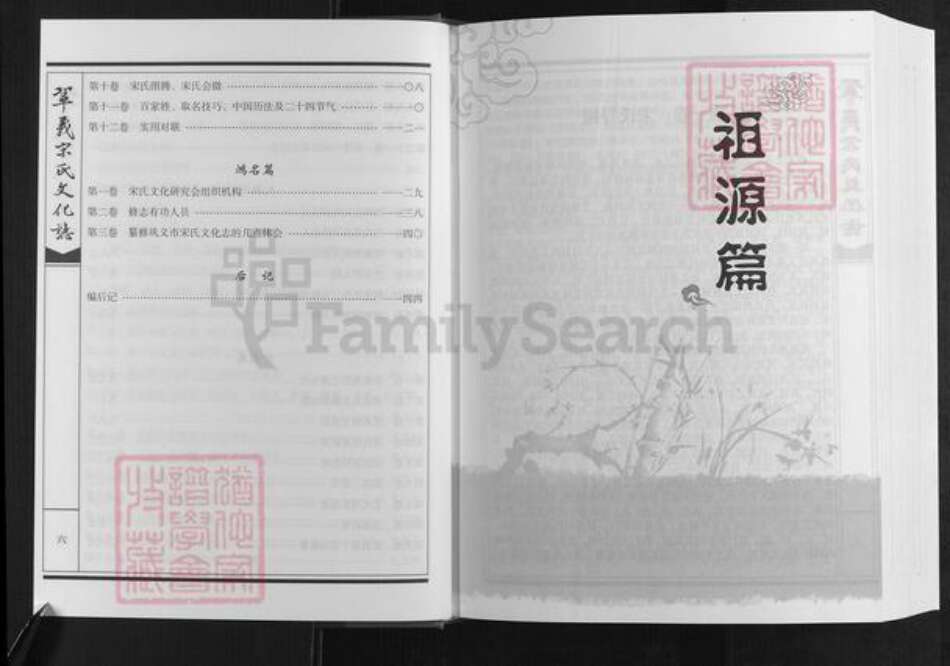 河南省郑州市巩义市宋氏族谱-巩义宋氏文化志[不分卷].pdf电子版预览图5