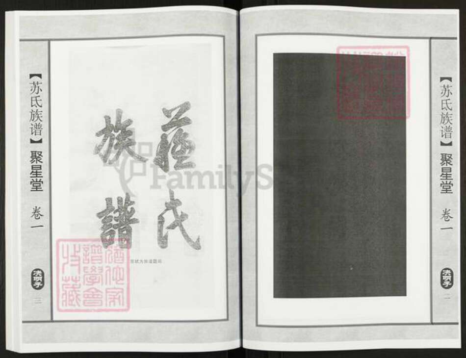 江苏省无锡市江阴市澄江街道苏氏聚星堂族谱-苏氏族谱.pdf电子版预览图3