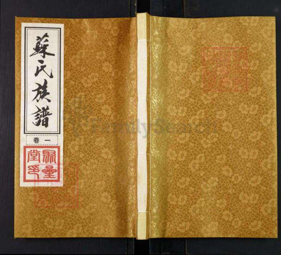 江苏省常州市天宁区郑陆镇苏氏聚星堂族谱-常州后塘派苏氏族谱.pdf电子版缩略图