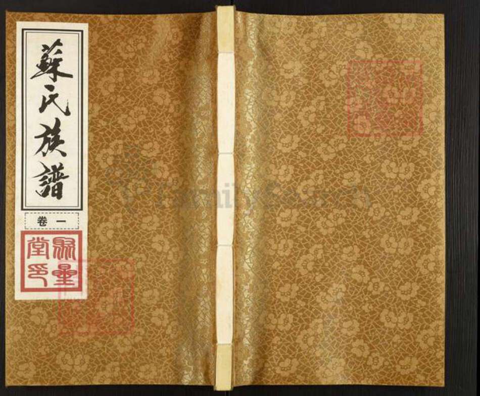 江苏省常州市天宁区郑陆镇苏氏聚星堂族谱-苏氏族谱后塘派.pdf电子版缩略图