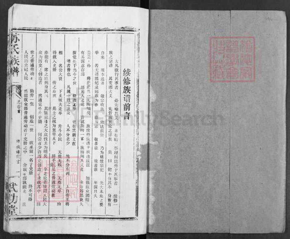 湖北省苏氏武功堂族谱-苏氏族谱.pdf电子版预览图1