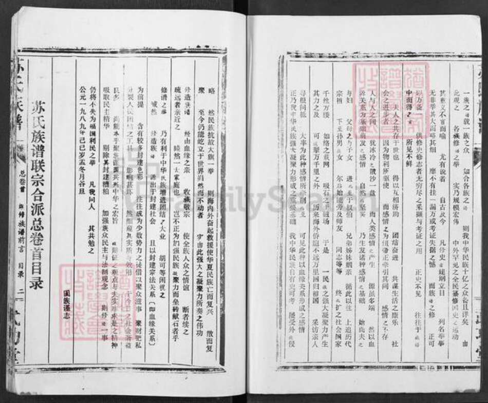 湖北省苏氏武功堂族谱-苏氏族谱.pdf电子版预览图2