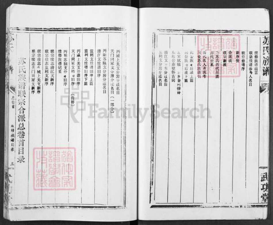 湖北省苏氏武功堂族谱-苏氏族谱.pdf电子版预览图3