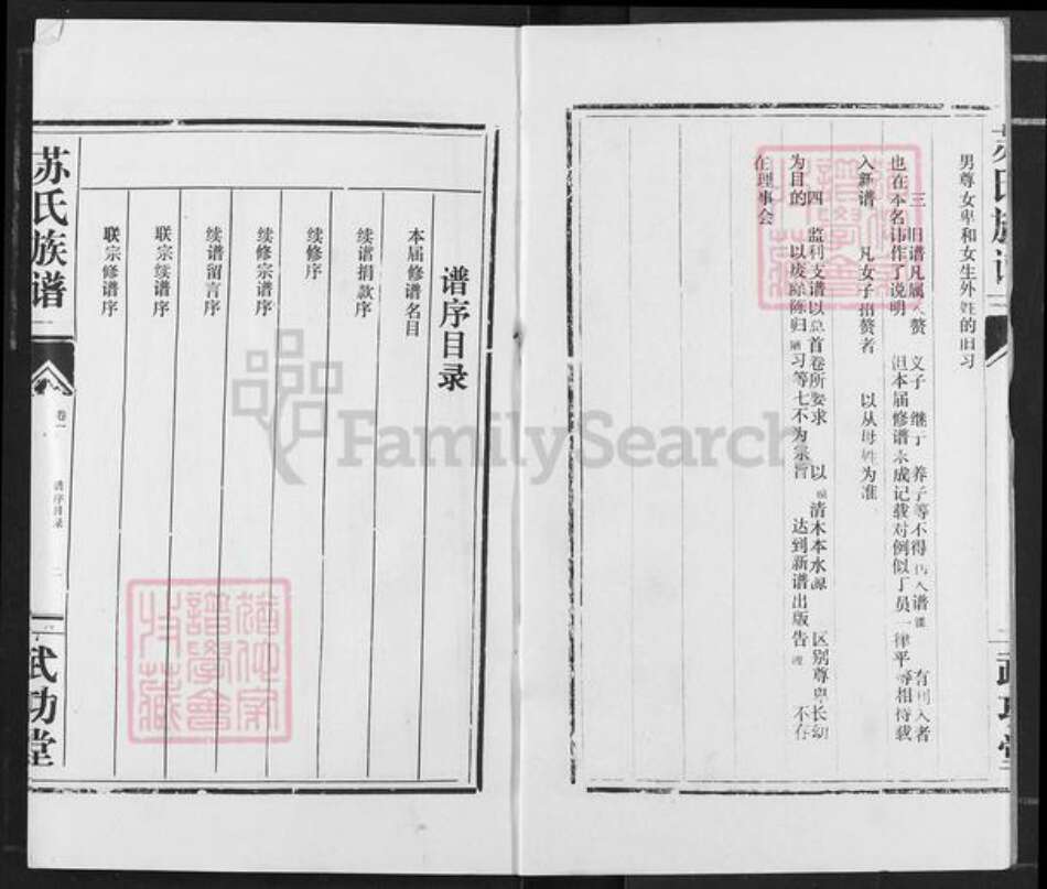 湖北省荆州市监利县苏氏武功堂族谱-苏氏族谱.pdf电子版预览图2