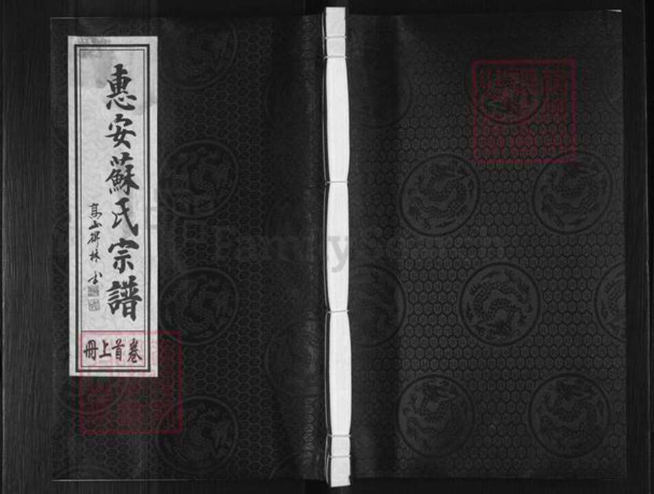 福建省泉州市惠安县张坂镇苏氏梅山堂族谱-惠安苏氏宗谱.pdf电子版缩略图