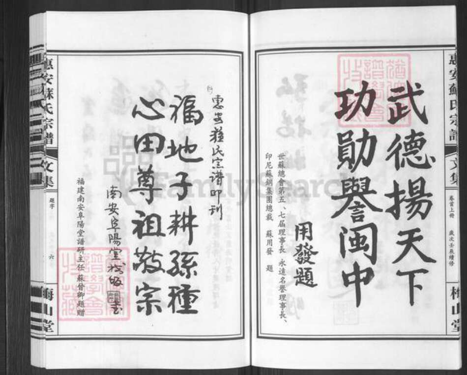 福建省泉州市惠安县张坂镇苏氏梅山堂族谱-惠安苏氏宗谱.pdf电子版预览图5