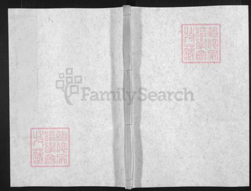 浙江省台州市仙居县仙居苏氏族谱-乐安苏氏宗谱.pdf电子版缩略图