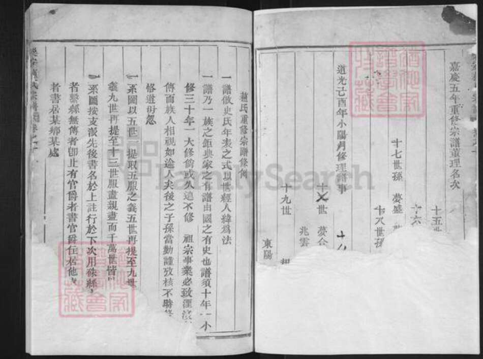 浙江省台州市仙居县仙居苏氏族谱-乐安苏氏宗谱.pdf电子版预览图1