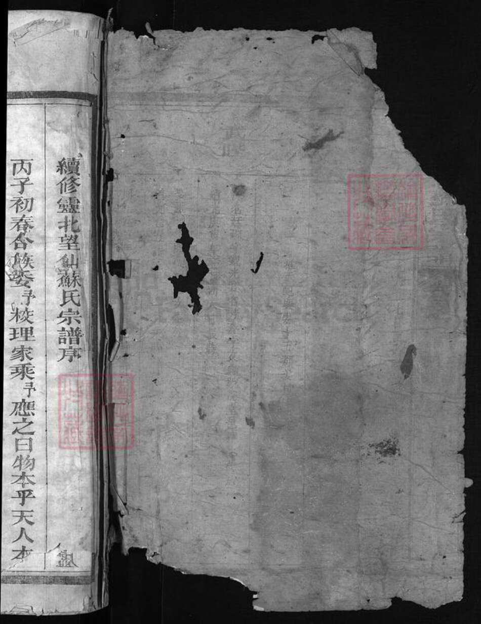 江西省上饶市苏氏族谱-苏氏宗谱 [8卷].pdf电子版预览图1