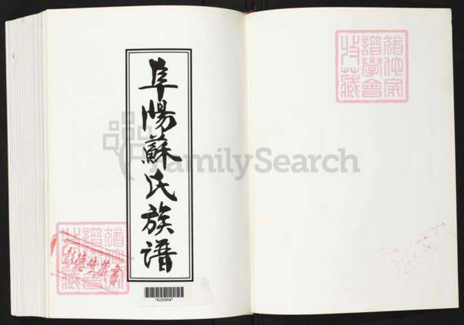 福建省泉州市南安市康美镇苏氏族谱-阜阳苏氏族谱.pdf电子版预览图1