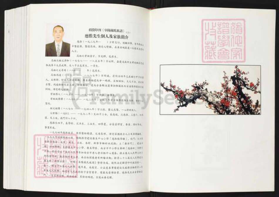 福建省泉州市南安市康美镇苏氏族谱-阜阳苏氏族谱.pdf电子版预览图2