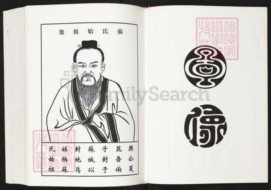 福建省泉州市南安市康美镇苏氏族谱-阜阳苏氏族谱.pdf电子版预览图4